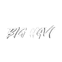 Personal Problems Rapper Sticker by Big Havi