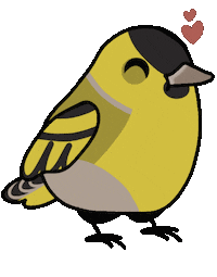 Bird Vogel Sticker