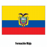 Flag Pixel Art GIF by Formación Ninja
