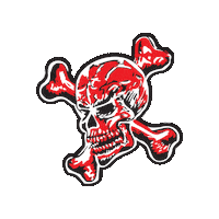 Guns N Roses Sticker by Duff McKagan