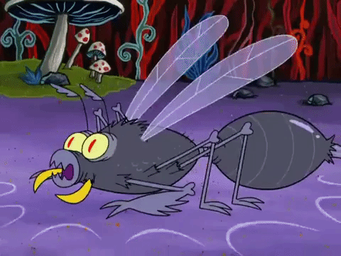 season 8 spongebob's runaway roadtrip: a squarepants family vacation GIF by SpongeBob SquarePants