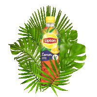 LiptonRomania fun cool summer beach Sticker