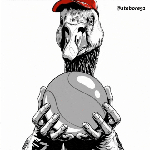 Confused America GIF