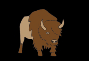 Bison Aw19 GIF by CarlijnQ