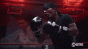 Gervonta Davis Boxing GIF by SHOWTIME Sports