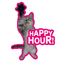 Happy Hour Cat Sticker by Deutsche Telekom