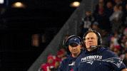 Excited Bill Belichick GIF by New England Patriots