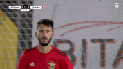 Sl Benfica Thumbs Up GIF by Sport Lisboa e Benfica
