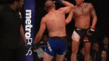 ufc 213 GIF