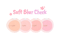 Makeup 블러셔 Sticker by BY ECOM