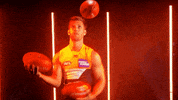 matt de boer afl GIF by GIANTS