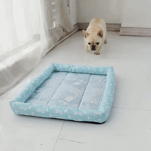 Tapis rafraîchissant pour chien en usage