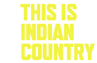 Indigenous People Arrow Sticker by American Indian College Fund