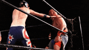 SHWAWrestling oz perth pro wrestling shwa shwa gif GIF