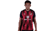 Happy Football Sticker by AFC Bournemouth