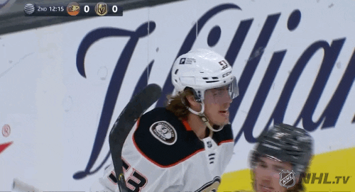 Ice Hockey Hug GIF by NHL