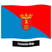Las Palmas Bandera Sticker by Formación Ninja