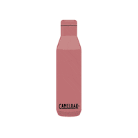 Party Celebrate Sticker by CamelBak