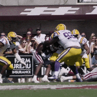 Lsu Football Win GIF by LSU Tigers
