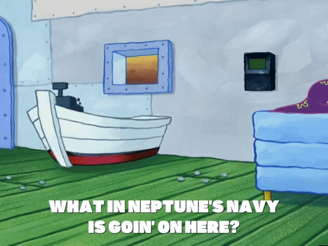 season 5 new digs GIF by SpongeBob SquarePants