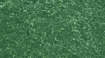 bbq sauce GIF by Williams Family Kitchen