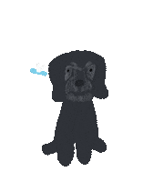 Dog Dragonfly Sticker