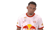 Next One Rbs Sticker by FC Red Bull Salzburg