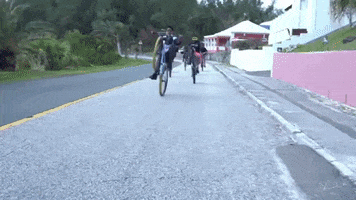 Island Life Wheelie GIF by Bermemes
