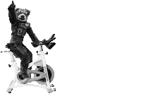 Monte Griz Sticker by SOBBACYCLE