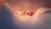 Roses GIF by Kali Uchis