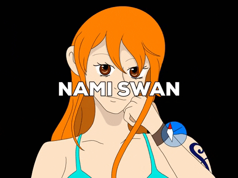 skypawcreations giphygifmaker one piece nami straw hat pirates GIF