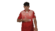 Ssv Jahn Regensburg Vbl Sticker by Bundesliga
