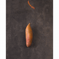 GIF by Sketchie.