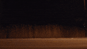 Drunk Charlie Tahan GIF by FILMRISE