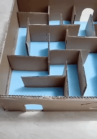 gif-vif giphyupload my way or highway GIF