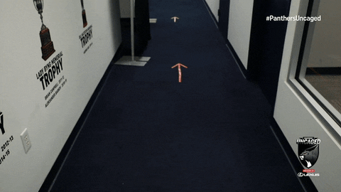 Hockey Nhl GIF by Florida Panthers