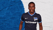 Bundesliga Berlin GIF by Hertha BSC