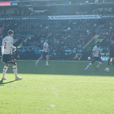 Celebrations GIF by Bolton Wanderers FC