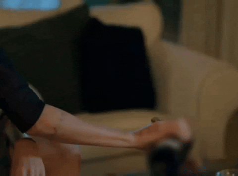 Wine Didem GIF
