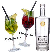 Ice1h party cheers cocktails vodka Sticker