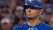 Celebration Baseball GIF by Toronto Blue Jays