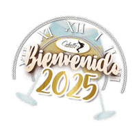 Newyears Sticker by Cabello Perfecto