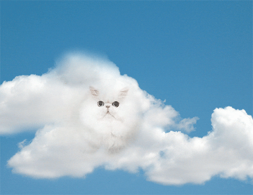cloud GIF