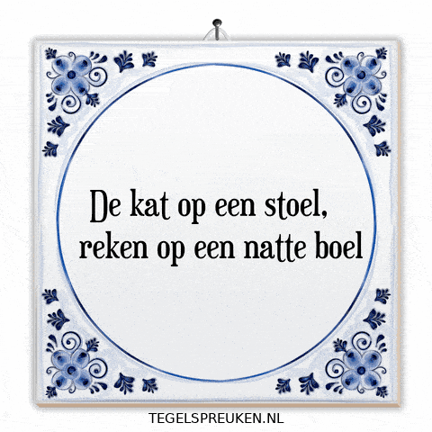 Nl Kat GIF by Tegelspreuken.nl