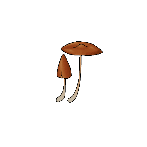 EssieBear forest mushroom cottagecore fungi Sticker