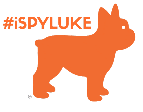 luke ispyluke Sticker by nexthomesierra