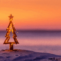 Key West Marathon GIF by C21 Affiliated