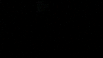 protect protect contemporary art GIF by Art21