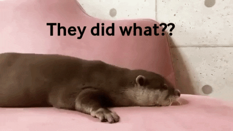 andcallmeshirley giphygifmaker wtf jump surprise GIF