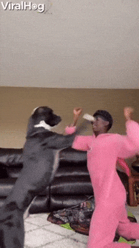 Dog and Owner Playfully Bout